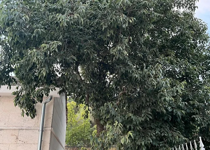 Didova Kuca, With Private Pool Near Rogoznica,sleeps 9 * Podorljak